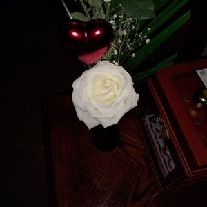 Meet your Posher, Renee